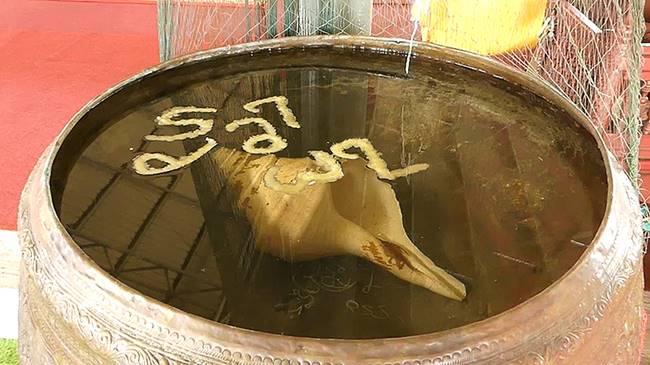 คอหวยแห่ส่องเลขในอ่างน้ำมนต์