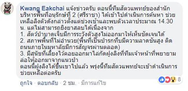 เจ้าลิงน้อยโดนบ่วงรัดเอวแทบขาด