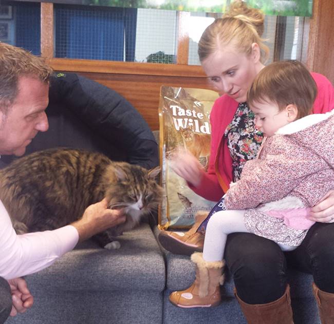 เหมียวแสบหายไป