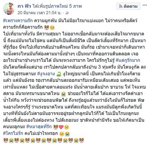 สุนัขถูกงูกัดไม่ยอมตาย