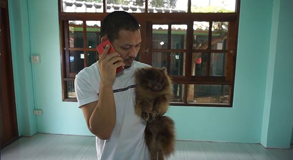 นายแพทย์วิปริต ซื้อหมาไปทารุณฉีดสารเคมี