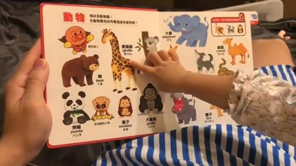 น้องเป่าเปา