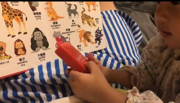 น้องเป่าเปา