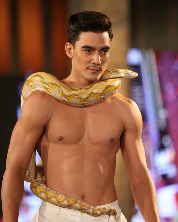  อติล่า The Face All Star