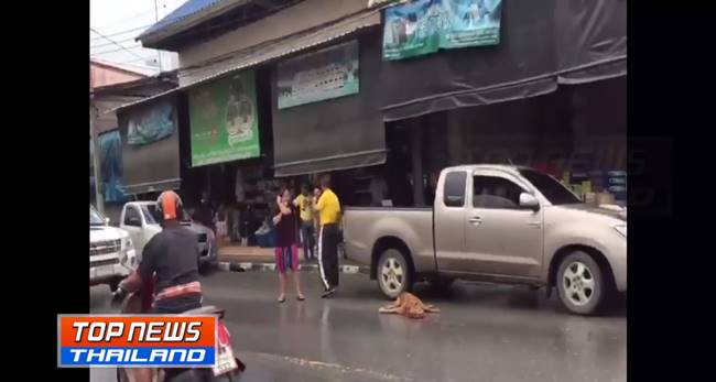 พิทบูลคลั่ง 