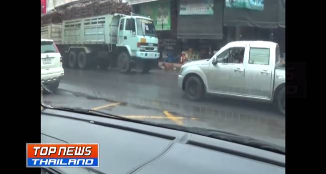 พิทบูลคลั่ง 