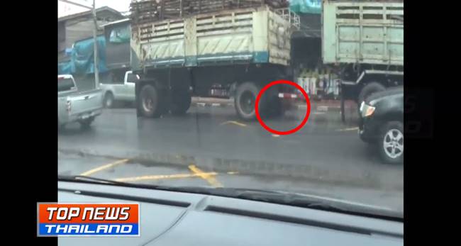 พิทบูลคลั่ง 