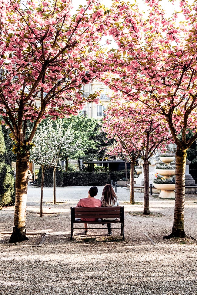 เล่าอนาคตที่วางแผนไว้ให้คุณฟัง