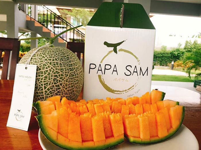 ฟาร์มเมลอน Papa’SAM