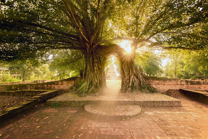 วัดพระงาม