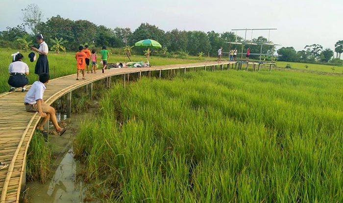 สะพานไม้ไผ่ บ้านเตย