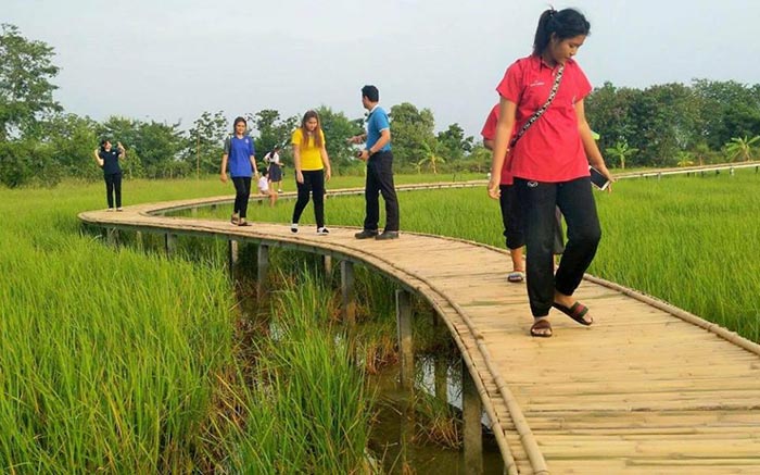 สะพานไม้ไผ่ บ้านเตย