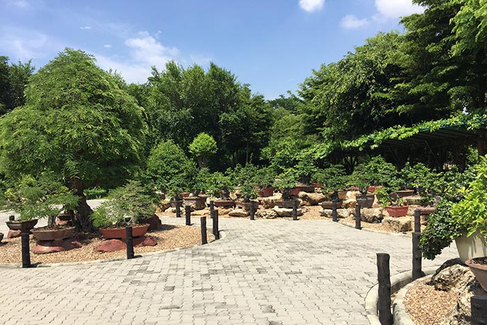 ณ สัทธา อุทยานไทย ราชบุรี