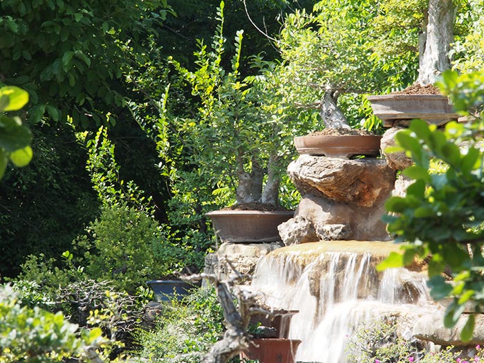 ณ สัทธา อุทยานไทย ราชบุรี