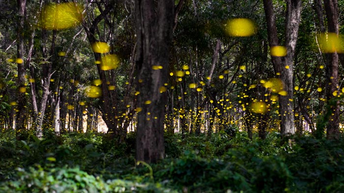 ที่เที่ยวหน้าฝน ใกล้กรุงเทพ