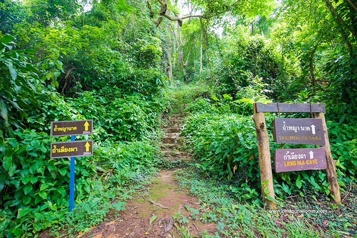 ถ้ำเขาหลวง