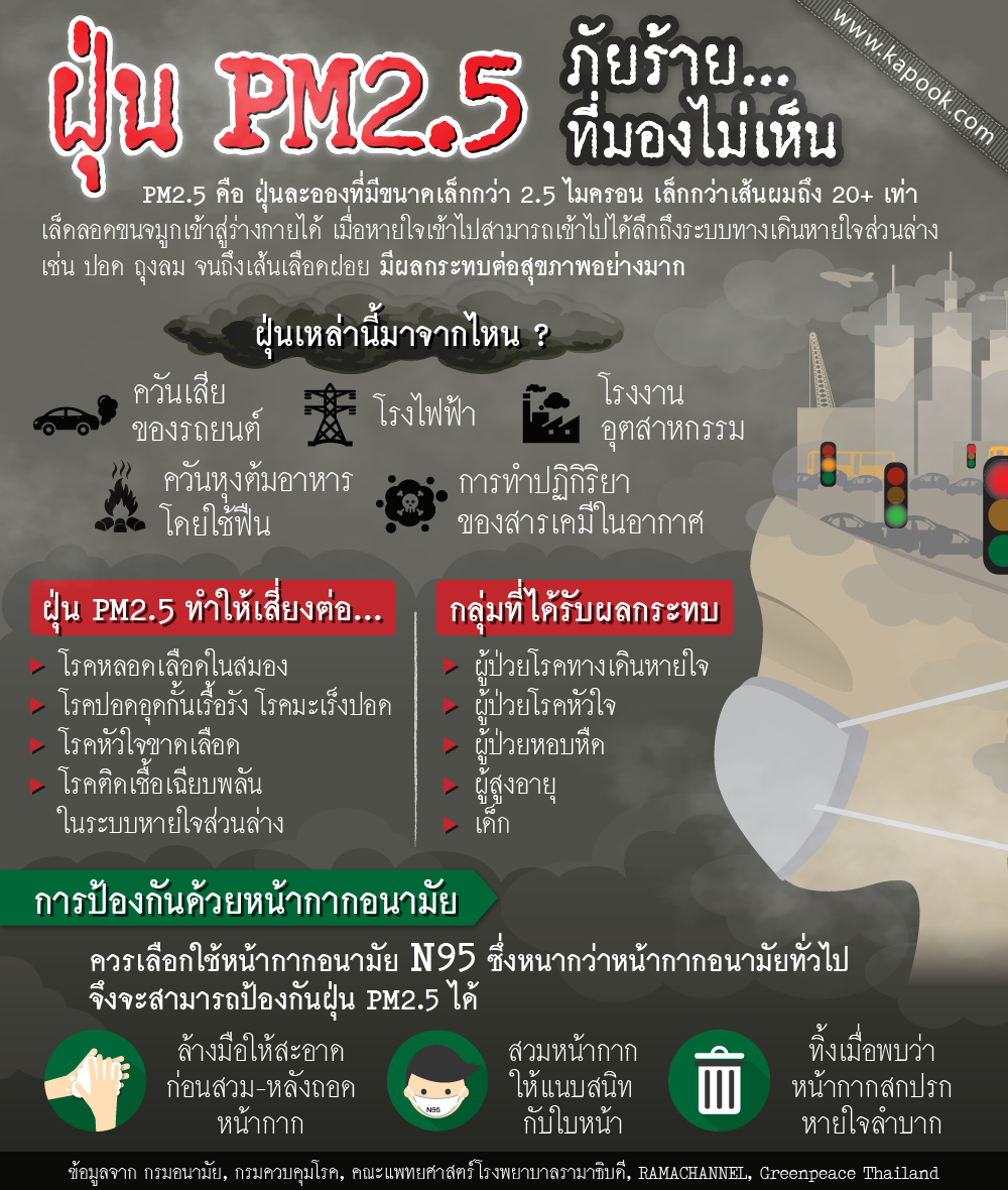 ฝุ่น PM2.5