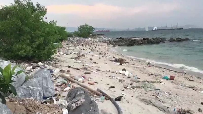 ขยะในทะเล