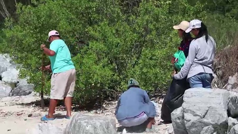 ขยะในทะเล