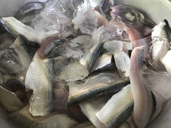 พล่าปลาสด 