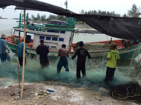 พล่าปลาสด 