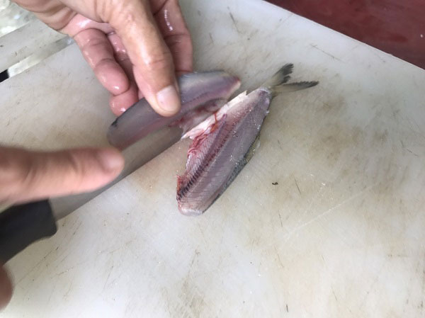 พล่าปลาสด 