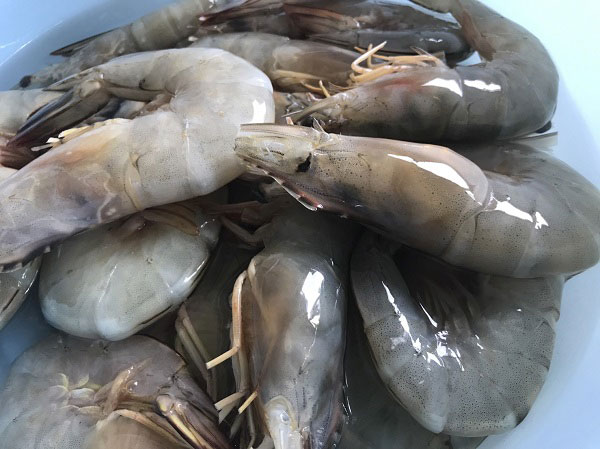 กุ้งผัดพริกเกลือ