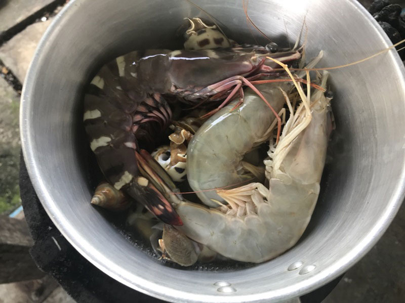 หอยหวานลวก