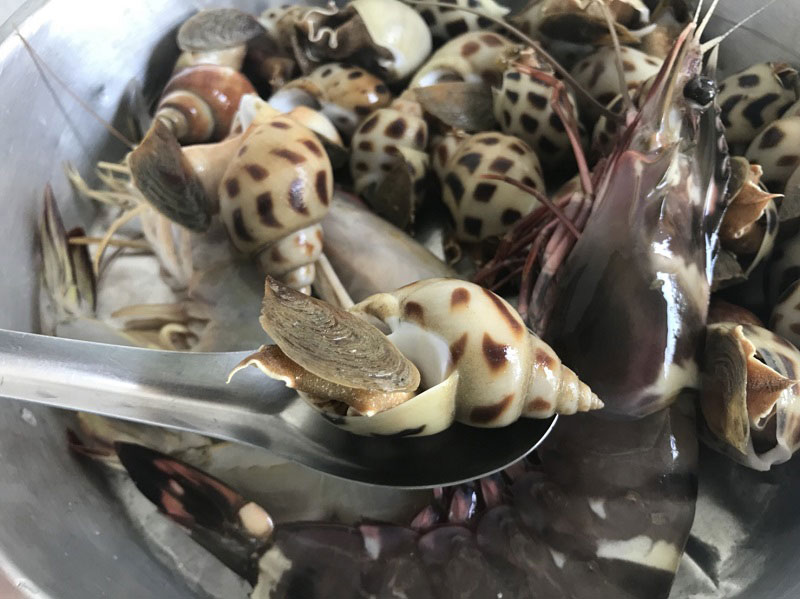 หอยหวานลวก