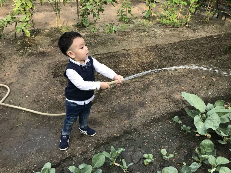 กุ้งผัดพริกแกง