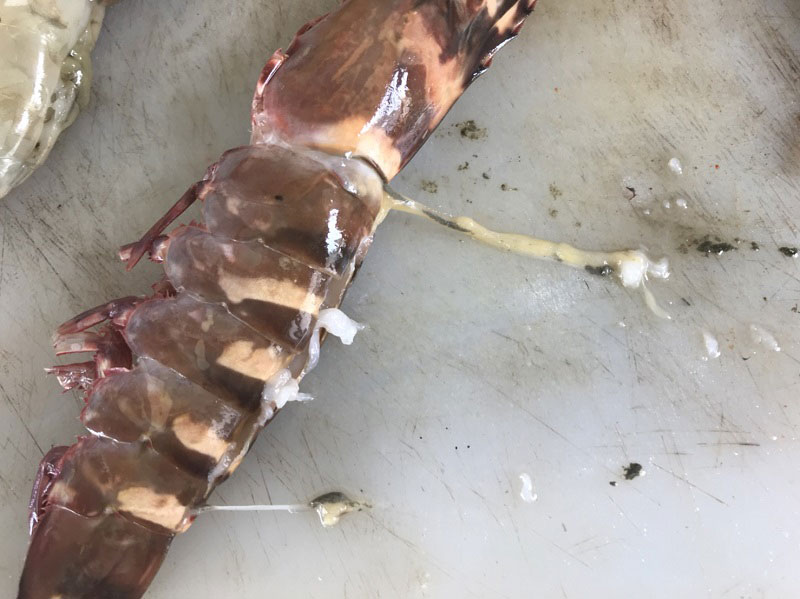 กุ้งผัดพริกแกง