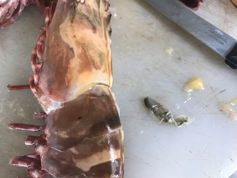 กุ้งผัดพริกแกง