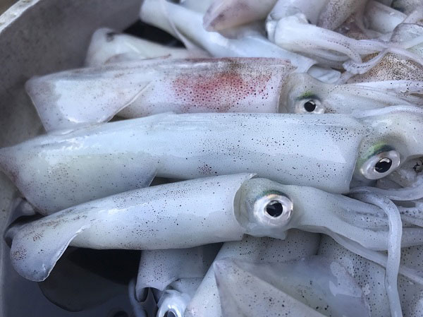  หมึกต้มหวาน