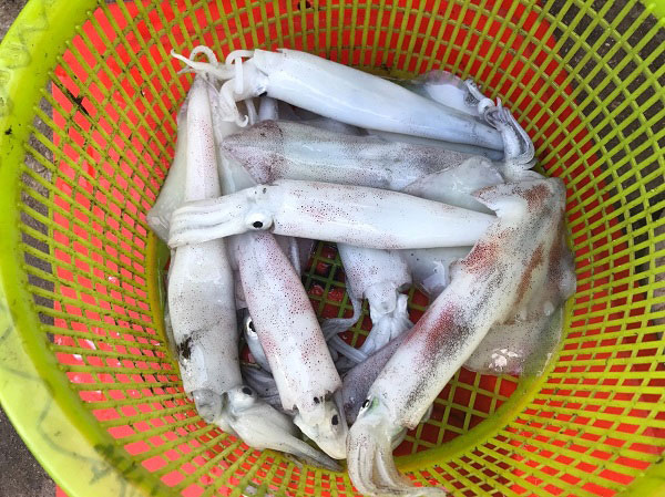  หมึกต้มหวาน