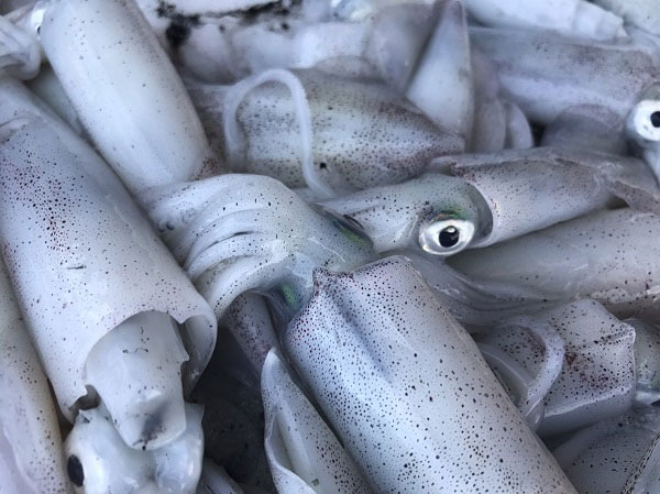  หมึกต้มหวาน