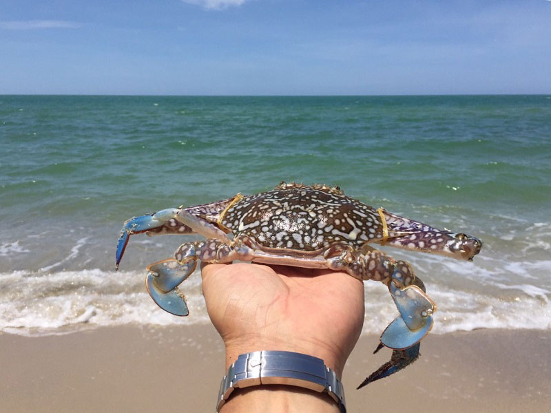 แกงคั่วปูม้า