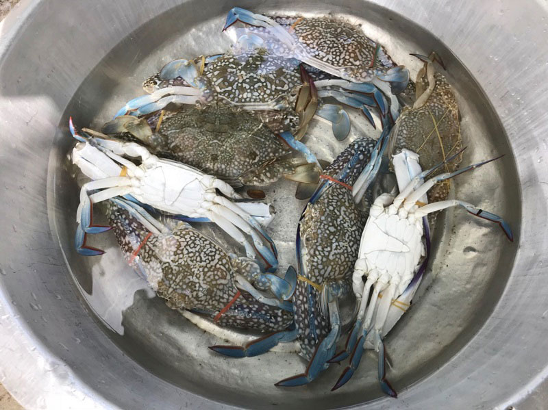 แกงคั่วปูม้า