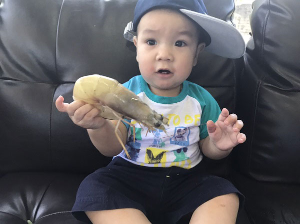 ทอดมันกุ้ง