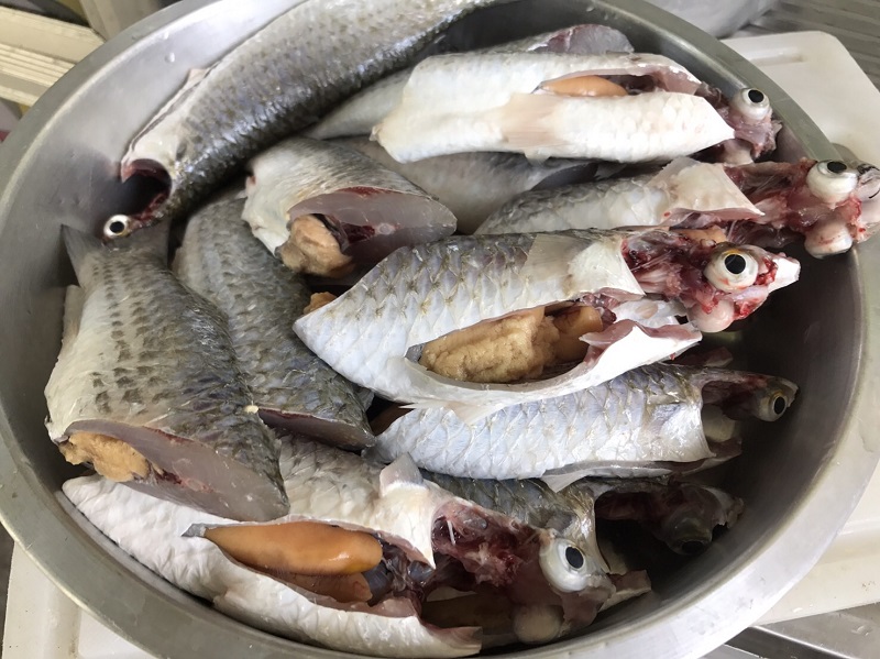 ต้มส้มปลา