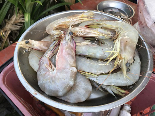 กุ้งเทมปุระ