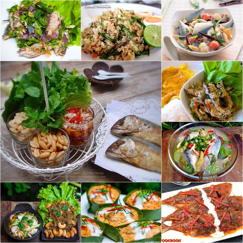 14 เมนูปลาทูแซ่บ 