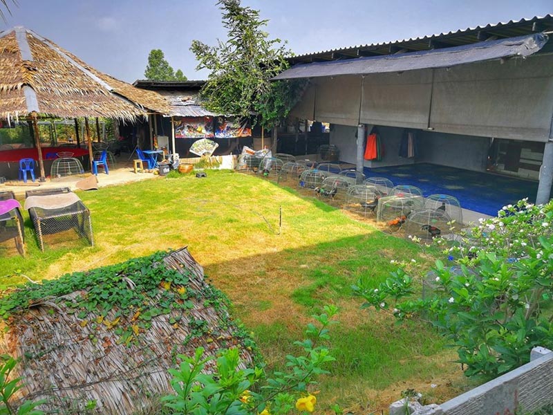 บ้านสวน จตุรงค์ มกจ๊ก 