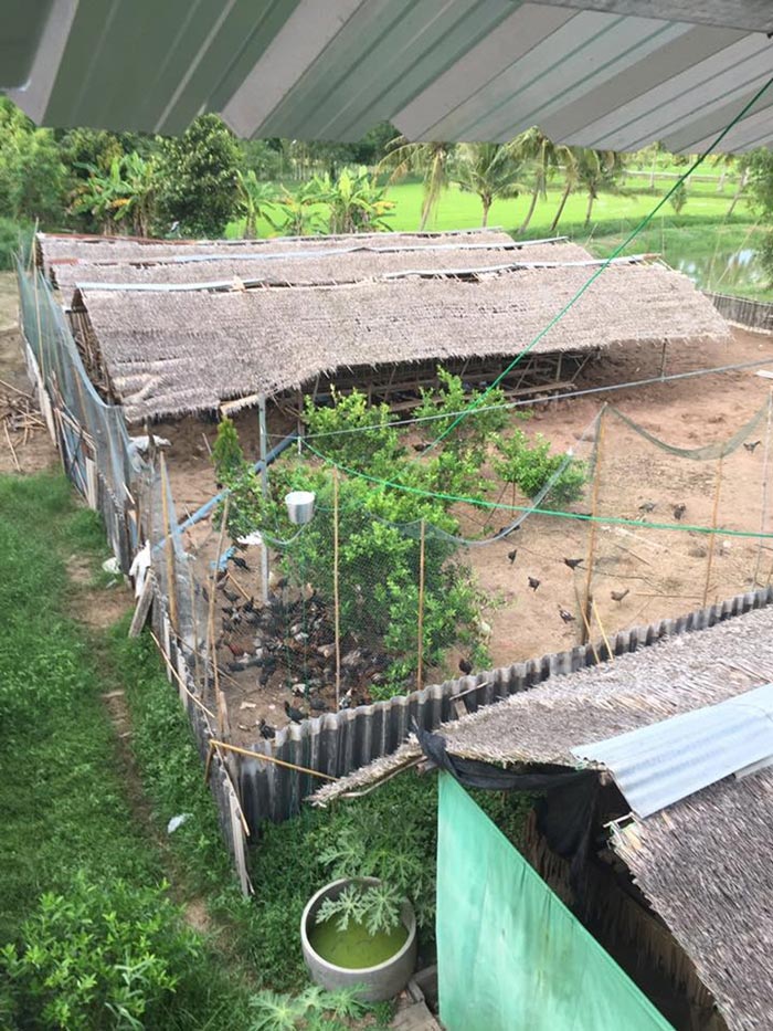 บ้านสวน จตุรงค์ มกจ๊ก 