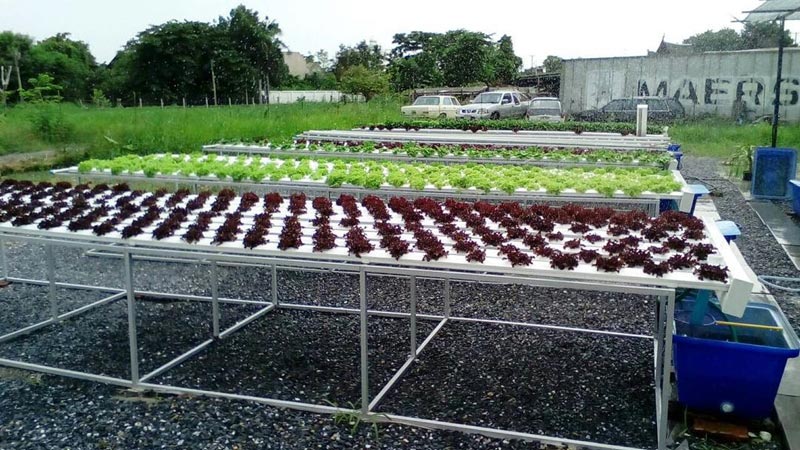 บ้าน ปั้นจั่น ปรมะ