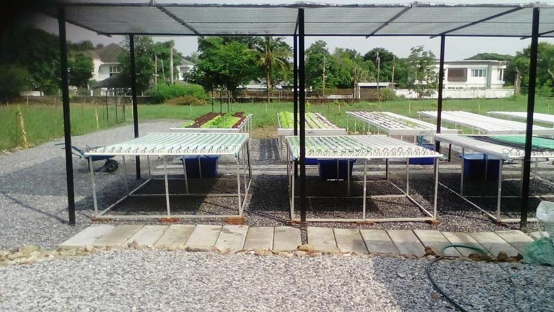 บ้าน ปั้นจั่น ปรมะ