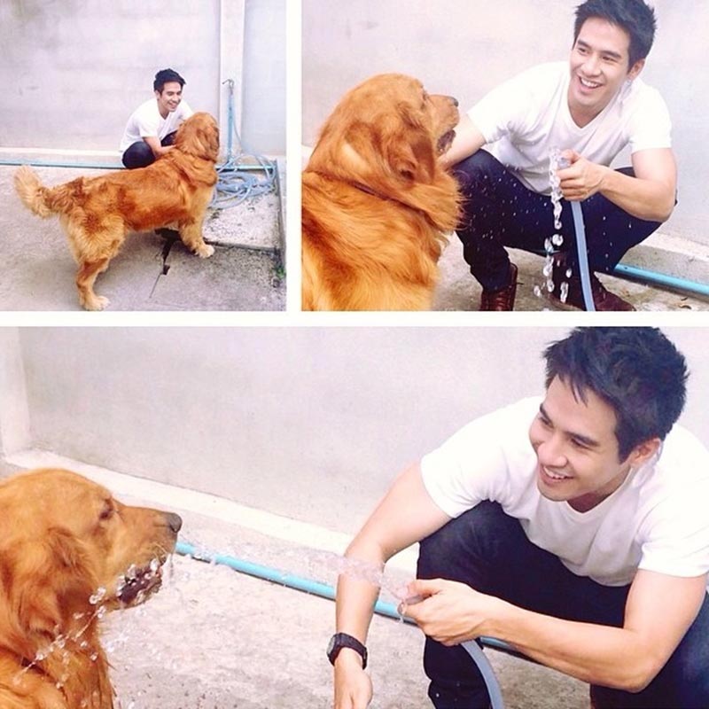 บ้าน โป๊ป