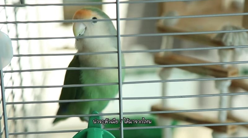 บ้าน ตู่ ภพธร นุช นุชนันท์