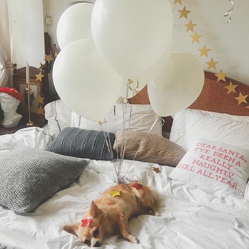 บ้าน ตู่ ภพธร นุช นุชนันท์