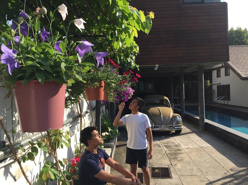 บ้านท็อป ดารณีนุช