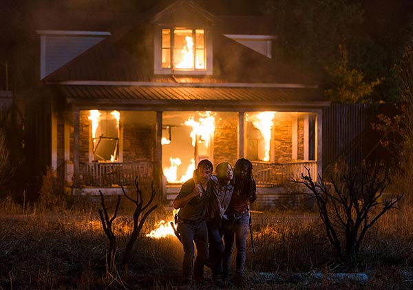 Walking Dead 8